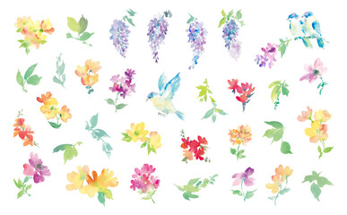 水彩で描いた抽象的な藤の花と草花の背景用イラスト素材セット	
