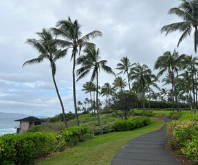 Fototapeta na wymiar Maui, Hawaii - Palm trees on the beach