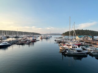 Marina on Orcas Island with calm water and sailboats