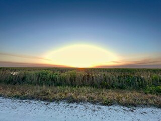 sunburst sunset over the swamp in Florida