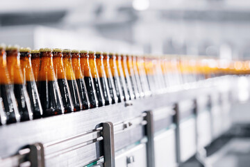 Beer brewery industry manufacturing. Brown glass bottles on conveyor belt, clean modern equipment