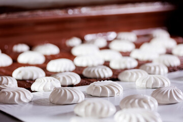Process of chocolate glazing marshmallows or zephyr in confectionery on conveyor line, sweet food factory