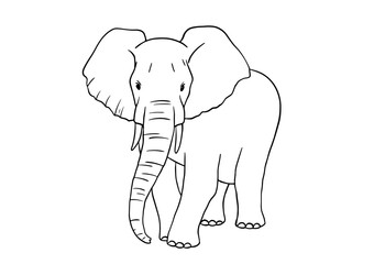 Elephant line sketch isolated on white background. Vector illustration. Doodle african animal