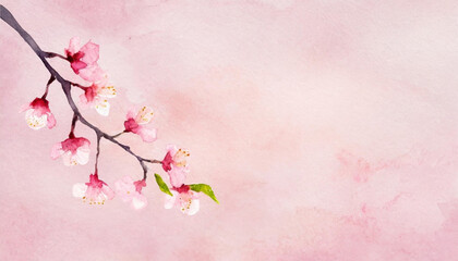 Watercolor drawing of cherry blossom and branch on grungy pink background