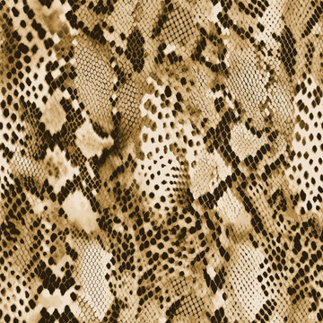 leopard skin pattern