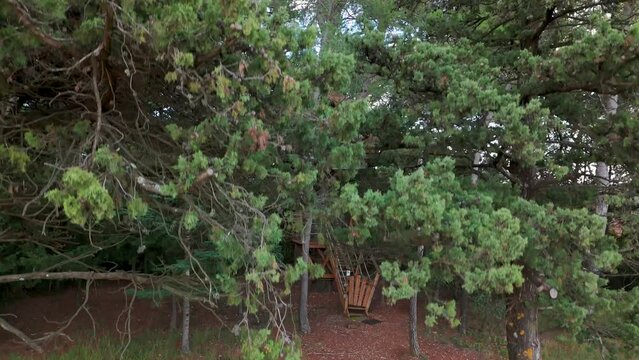 Aerial establishing shot of a modern treehouse built in a french forest