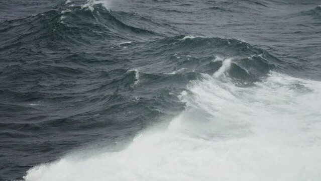Strong waves in the stormy northern sea. Wind raises water spray in the air.