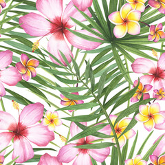 seamless pattern tropic plant palm, hibiscus. plumeria flower isolated on white background. Watercolor hand drawn botanical illustration. Art for design fabric, cosmetic, wrapping paper, spa © AnikaKorr
