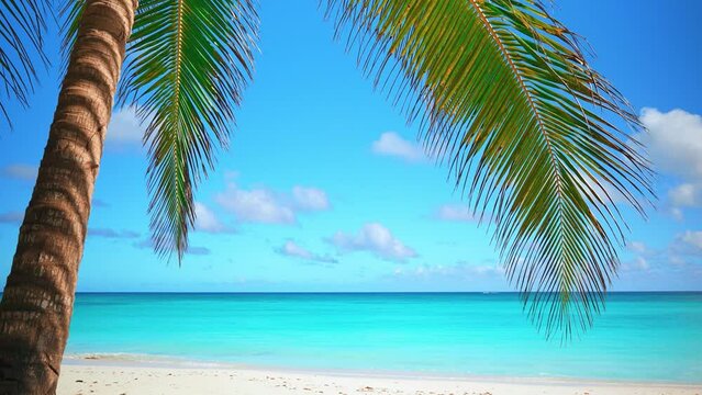 Maldivian palm summer beach on the ocean or seashore. A paradise with white sand, palm trees and blue calm water. Travel to an exotic resort. Summer vacation and tropical pool concept.