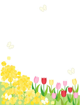 菜の花とチューリップの春の丘のカード　縦型バージョン
