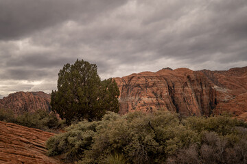 Snow Canyon State Park Lovely Overcast Winter Day St. George