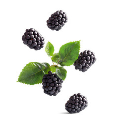 Ripe Blackberries falling in air with Blackberry leaves, Healthy organic berry natural ingredients concept, AI generated, PNG transparency with shadow