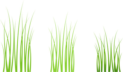 Fototapeta premium Green grass meadow border vector pattern. Spring summer plant field lawn. Grass background Vector illustration.