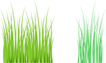 Green grass meadow border vector pattern. Spring summer plant field lawn. Grass background Vector illustration.