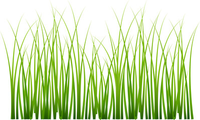 Green grass meadow border vector pattern. Spring summer plant field lawn. Grass background Vector illustration.