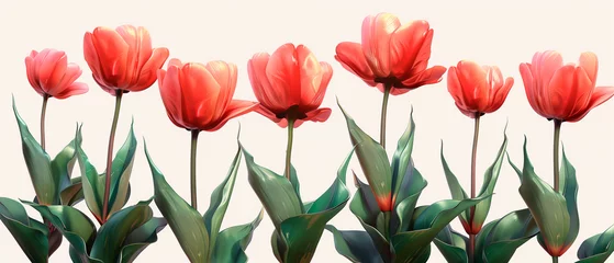 Foto auf Acrylglas Tulips on isolated background © ARTwithPIXELS