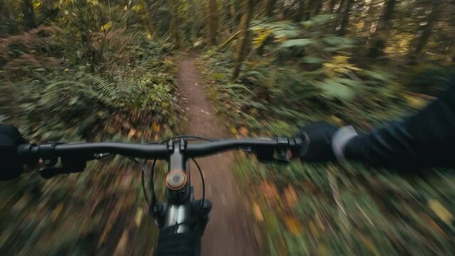 Downhill Mountain Biking on Narrow Single Track Trail in Forest
