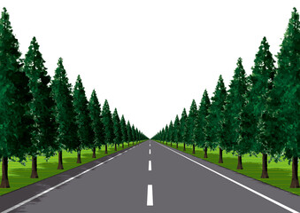 Naklejka premium 平野の真っ直ぐな並木道