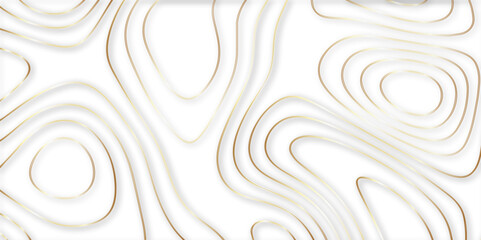 Fototapeta na wymiar Abstract topographic contours 3d map background .topographic line texture background .monochrome image .stylized height of the topographic map contour in lines. 