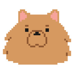 Pomeranian Head Pixel 1 cute on a white background, png illustration.