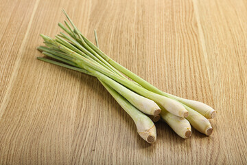 Lemongrass - Asian aroma plant for cooking