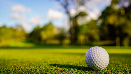 Golf ball on green grass in the evening golf course with sunshine background.