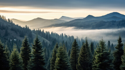 Naklejka na ściany i meble Misty Sunrise Over Tranquil Mountain Forest