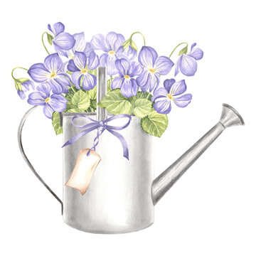 recommend clip art: Violet with leaves in watering can metal with tag, watercolor illustration of garden supplies. Isolated hand drawn wildflower, pansy bouquet Template of farmhouse rustic decor for card, embroidery.