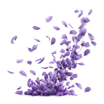 Petals lavender falling in the air, Beautiful flower in nature concept, AI generated, PNG transparent with shadow