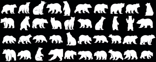 Fototapeten Polar Bear silhouette collection, diverse poses, ideal for logos, emblems, wildlife themed designs, majestic animal stances, bear vector art © Arafat