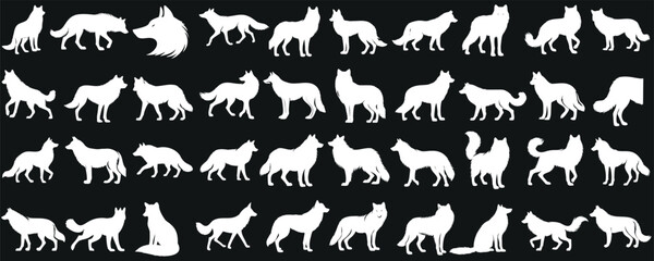 White wolf silhouettes in various dynamic poses, perfect wolf for wildlife, nature, logo, and apparel design. wolf Vector illustration isolated on black background