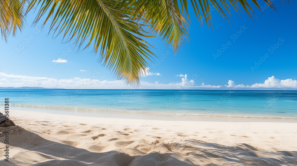 Sticker tropical beach. summer vacation on a tropical island with beautiful beach and palm trees. tropical m