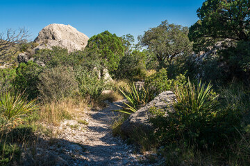 Fototapeta na wymiar The Devil's Hall Trail at Guadalupe Mountains National Park in Western Texas