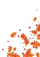 Gold Acorn Background White Vector. Leaf Cartoon Design. Brown Oak. Outline Frame. Orange Leaves Landscape.
