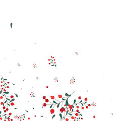 Green Berries Background White Vector. Foliage Sale Card. Red Rowan Season. Realistic Set. Herb Drawn.