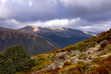Southern Alps, West Coast, New Zealand