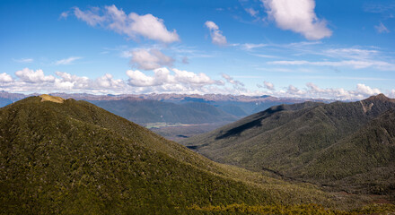 Victoria Forest Park, West coast, New Zealand
