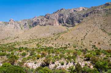 Fototapeta na wymiar Guadalupe Mountains National Park in Western Texas