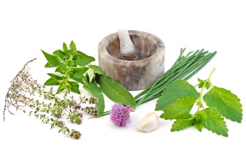 Fresh herbs and stone mortar isolated on white background.