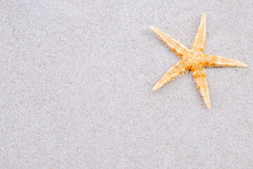 Starfish on white sand. Summer background.  - 745614592