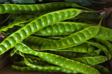 Raw of petai or pete (Parkia speciosa). Usually eaten raw and cooked, popular with name stink bean...