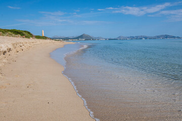 Es Com&uacute;, &Agrave;rea Natural d'Especial Inter&egrave;s, included within the Natural Park of s'Albufera, Muro, bah&iacute;a de Alc&uacute;dia, Mallorca, Balearic Islands, Spain