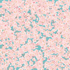 正方形　青空に桜敷き詰め