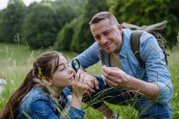 Dad with daughter, picking wildflowers in meadow, spending time together in nature. Concept of...