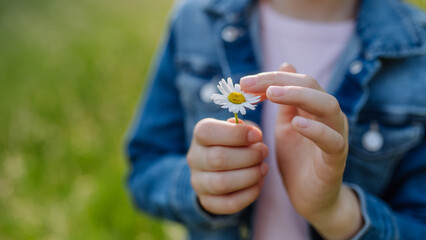 Close up of girl holding flower, standing on meadow, enjoying warm spring day.