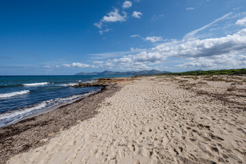 Fototapeta na wymiar Na Patana beach, municipality of Santa Margalida, Bahía de Alcudia, Mallorca, Spain