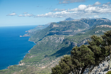 Fototapeta na wymiar wooded coast of the sierra de tramuntana, Banyalbufar, Mallorca, Spain