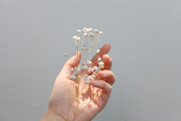 hand holding small white flower
