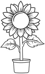 sunflower in a vase without background