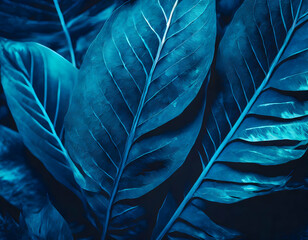 Abstract blue leaf texture, dark foliage nature background, tropical leaf for backdrop on digital art concept.